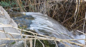 Foto de Finca de regadío y secano en venta con agua