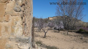 Detalle de Finca de regadío en Maella con agua por 17.000€