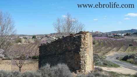 Finca de regadío en Maella