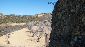 Foto de Finca de regadío en Maella con regadío por 17.000€