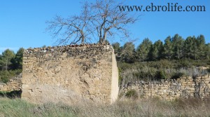 Se vende Huerto en Calaceite con huerto