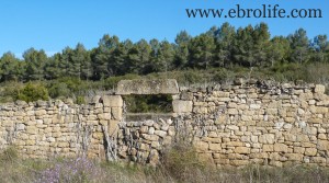 Detalle de Huerto en Calaceite con masía