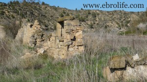 Foto de Huerto en Calaceite con masía