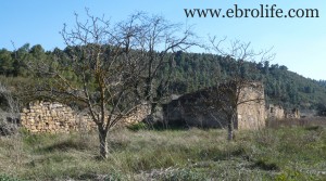 Huerto en Calaceite en venta con agua