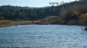 Foto de Huerto en Calaceite con masía