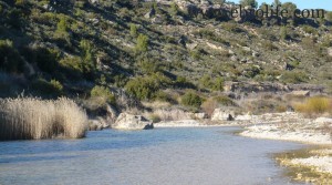 Huerto en Calaceite a buen precio con agua por 25.000€
