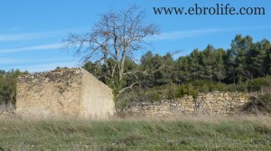 Detalle de Huerto en Calaceite con huerto por 25.000€