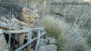 Finca en Mazaleón para vender con higueras