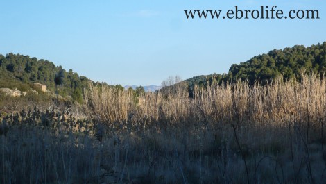 Finca en Mazaleón