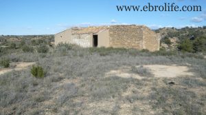 Finca en Caspe en oferta con masía