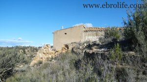 Finca en Caspe en venta con otros frutales