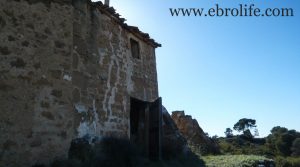 Finca en Caspe en venta con otros frutales por 19.500€