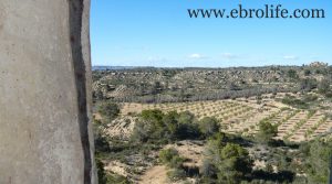 Vendemos Finca en Caspe con embalse por 19.500€