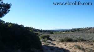 Foto de Finca en Caspe con embalse por 19.500€