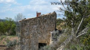 Se vende Finca en Mazaleón con olivos