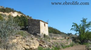 Vendemos Finca en Mazaleón con otros frutales