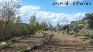 Foto de Finca en Mazaleón con agua