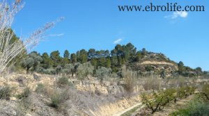 Finca en Mazaleón a buen precio con piscina