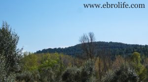 Foto de Finca en Mazaleón en venta con agua