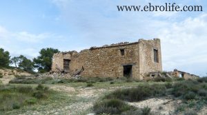 Finca de almendros en Maella a buen precio con masía