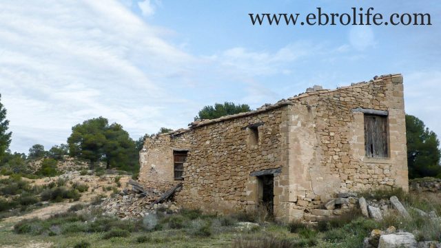 Finca de almendros en Maella