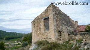 Finca de almendros en Maella a buen precio con olivos por 65.500€