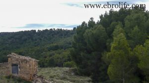 Foto de Finca de almendros en Maella con masía