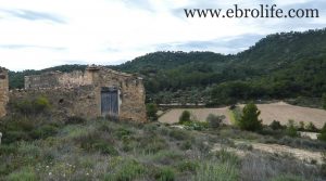 Foto de Finca de almendros en Maella en venta con masía