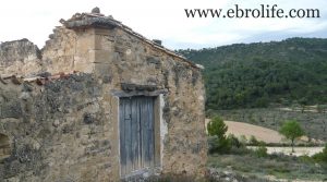 Detalle de Finca de almendros en Maella con almendros