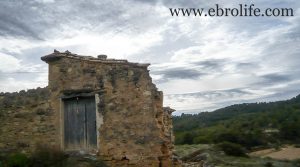 Se vende Finca de almendros en Maella con olivos