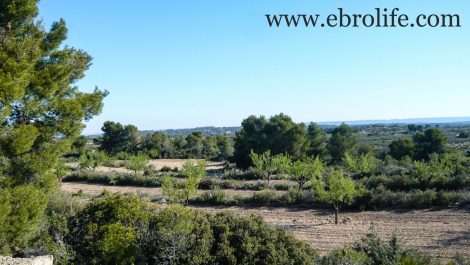 Finca de secano en Fabara