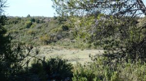 Finca de secano en Fabara para vender con secano