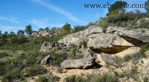 Vendemos Finca de secano en Fabara con monte bajo