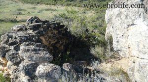 Detalle de Finca de secano en Fabara con secano