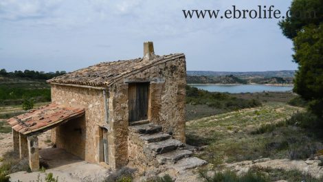 Finca de regadío en Caspe