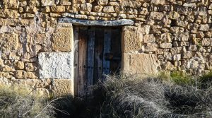 Finca de olivos y almendros en Maella para vender con pinares por 