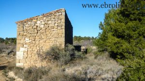 Finca de olivos y almendros en Maella en venta con masía por 