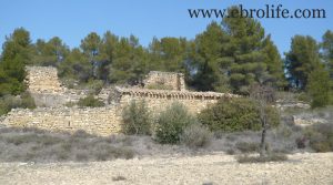 Finca de olivos y almendros en Calaceite en oferta con río