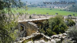 Foto de Finca de olivos y almendros en Calaceite en venta con olivos