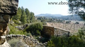 Finca de olivos y almendros en Calaceite a buen precio con río