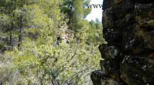 Foto de Finca de olivos y almendros en Calaceite con masía por 85.000€