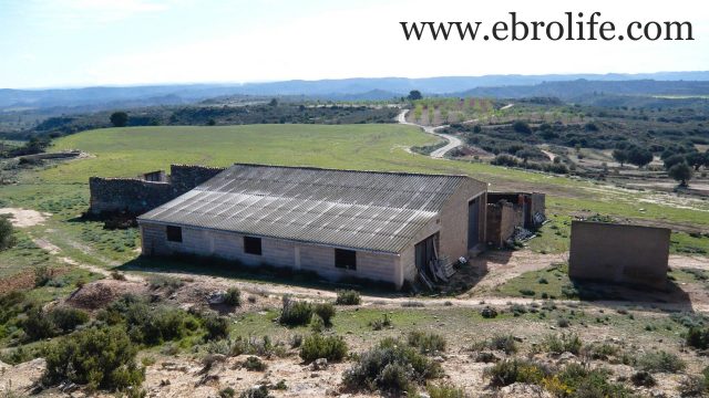 Construcción ganadera en Maella