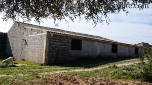 Se vende Construcción ganadera en Maella con casa