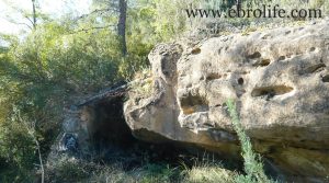 Finca y masía en Arens de Lledó en oferta con río