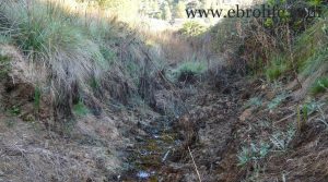 Foto de Finca y masía en Arens de Lledó con olivos por 28.000€