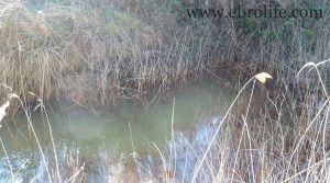 Foto de Finca y masía en Arens de Lledó con pinares