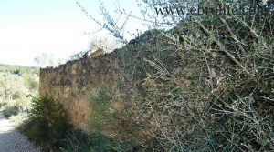 Foto de Finca y masía en Arens de Lledó con pinares por 28.000€