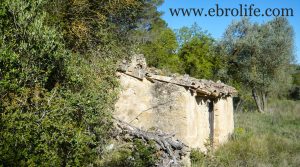 Detalle de Finca y masía en Arens de Lledó con robles