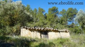 Finca y masía en Arens de Lledó en venta con robles por 28.000€