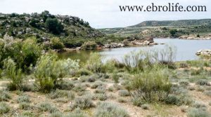 Vendemos Torre con piscina en Caspe con embalse